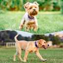 Reflective Dog Collar Padded with Soft Neoprene Breathable Quick Release Basic Dog Collars for Medium Dogs Purple Girl (M:width 3/4"neck 14-20.5")