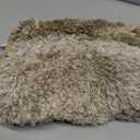 COSY HOMEER Toilet Rugs U-Shaped 24"x20", Ultra Soft Absorbent Bath Mat with Non-Slip TPR Backing, Machine Washable Shaggy Rug for Toilet, Beige