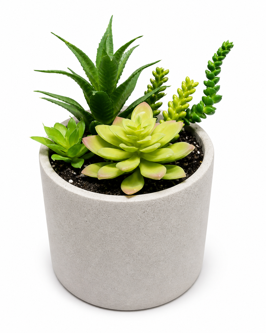 6" Succulent Greenery