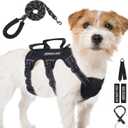 Escape Proof Dog Harness for Dogs Six Point Adjustable, Service Dog Vest Harness and Leash Set, No Pull Dogs Harnesses with Handle, Dog Harnesses for Walking(Black, S)