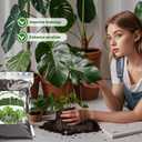 8 x Monstera Potting Soil 1qt - Premium Tropical Blend with Rapid Drainage for Growing and Repotting Monstera Deliciosa (Split-Leaf Philodendron) and Swiss Cheese Plants