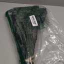 Green Brunches of Eucalyptus