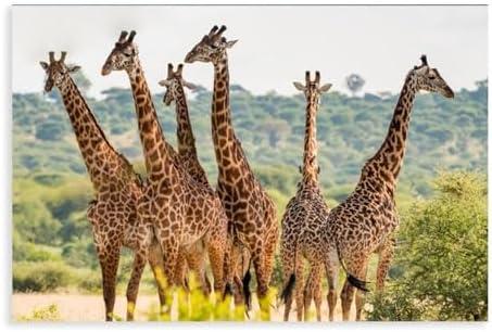 Wonderful Africa Giraffes Tarangire National Park,Tanzania Landscape Photo Canvas Poster Print,Wild Animals Wall Decor Canvas Poster Bedroom Office Room Decor Gift 08x12inch(20x30cm)