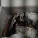 Wooden Spoons for Cooking, 12 Pcs Teak Wood Kitchen Utensils Set with Spoon Rest - Nonstick Heat Resistant Wooden Cooking Utensils, Natural Healthy Spatula Set for Pots and Pans