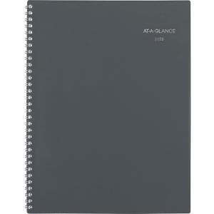 AT-A-GLANCE 2023 Monthly Planner, DayMinder, 8-1/2" x 11", Large, Gray