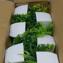 Tigeen 24 Pots Small Fake Plants Mini Eucalyptus Potted Artificial Plants Greenery Eucalyptus Rosemary Gladiolus Magnolia Aloe Faux Plants for Home Indoor Room Decor (Stylish Style)