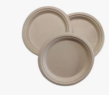 Freshware Paper Plates - Disposable 9" Plate, 125-Pack Biodegradable Sugarcane Fiber Dinner Plates - Heavy Duty Dinnerware for Hot Food - Microwave & Freezer Safe, Stackable Dinnerware (Natural)