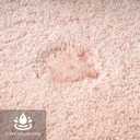 MIULEE Blush Bathroom Rugs Set 2 Piece, Small Soft Absorbent Microfiber Bath Mat Set, Non Slip Quick Dry Machine Washable Plush Shaggy Bath Rugs for Bathroom Floor, Tub and Shower, 16x24 inches