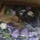 22'' Lavender Tulips Wreaths for Front Door Artificial Purple Flower Wreath with Butterflies and Greenery Leaves for Cabinet Spring Summer Hanging Wreath for Farmhouse Indoor Outdoor Porch Window Wall