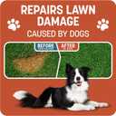 Pennington Smart Patch Bermudagrass 5lb 100 sq. ft. Grass Seed Bare Spot Repair with Mulch and Fertilizer (EXP 02/28/27)