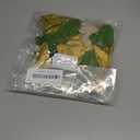 A Tini Bit Older Birthday Decorations Glitter Sage Green Gold Balloon Set Star Heart Foil Balloons Martini Glasses Bunting Banner Garland Cocktail Night Bachelorette Bridal Shower Bar Party Girl Women