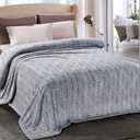 Whale Flotilla Flannel Fleece Twin Size Blanket for Bed, Soft Fluffy Velvet Bedspread Coverlet with Decorative Vintage Pattern for All Season, Warm and Lightweight, 60x80 Inch, Silver Grey