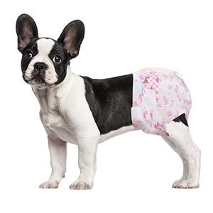 Dono Disposable Dog Diapers for Female Dogs-36PC, Super Absorbent Soft Pet Diapers for Girl Puppy Dogs, Female Dog Wraps for Small to Large Dogs, Size: Medium