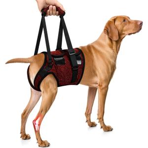 SlowTon Dog Lift Harness - Adjustable Dog Sling for Medium Large Dogs, Hind Leg Support to Help Rehabilitate, Soft Padded Dog Support Harness for Elderly, Injured, Arthritic, Disabled Dogs(R,M)