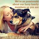 Caru Daily Dish Turkey With Wild Salmon Stew, Natural Adult Wet Dog Food With Real Chunks Of Turkey And Wild Salmon, With Added Vitamins And Minerals, Non-Gmo Ingredients (12.5 Oz)