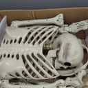 breesky 5.4 ft Halloween Life Size Skeleton, Full Body Realistic Human Bones with Flexible Joints, Skeleton for Halloween Full Size