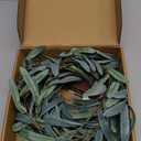 LITBLOOM Lighted Olive Garland Battery Operated with Timer 96 Fairy Lights 6FT, Artificial Greenery Twig Vine Lights for Christmas Spring Fireplace Mantle Decoration Indoor Outdoor