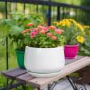 G EPGardening Ceramic Planter 9 Inch - Plant Pots with Drainage and Ceramic Saucer, Flower Pots for Indoor Plants, Modern Outdoor Planter, Living Room Decor, Gifts for Plant Lovers, White