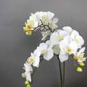 2 Pcs Orchid Stems 38" Artificial Flowers Real Touch Latex Faux Phalaenopsis Branches White Artificial Flowers for Wedding Party Home Garden Decor (White)