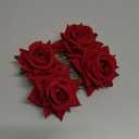 Bememo 2 Pack Women Rose Flower Hair Clip Rose Side Combs Flamenco Flowers Day of The Dead Costumes Mexican Hair Accessories for Wedding Party Decor Mother's Day Gift for Women Mom Grandma(Red)