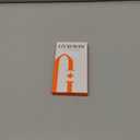 GVIEWIN for iPhone 16 Plus Case Floral, with Screen Protector&Camera Lens Protector, [Non Yellowing] Soft Shockproof Clear Phone Protective Cover for Women, Flower Pattern Design 6.7"(Hemerocallis)