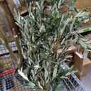 VIVATREES Olive Trees Artificial Indoor, 5FT Tall Faux Olive Tree with White Tall Planter, Artificial Plants with Natural Wood Trunk and Lifelike Fruits for Home Office Decor