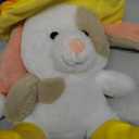 2 x Dog in a hat plush toy
