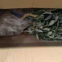 Fake Olive Tree 7.0 Feet Artificial Plants Indoor, Faux Olive Tree, Fake Tree for Home Decor, Faux Trees Indoor for Living Room, Office, Bedroom Tall Artificial Trees for Home, Designer Tree