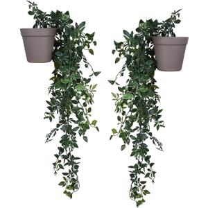 VENTO 2 Pack Fake Artificial Hanging Plants with Pots, Faux, Vines, Pathos, Greenery for Home, Garden, Office, Balcony, and Indoor/Outdoor Decor, Durable Plastic, No Maintenance, Brown, 28x10x10 cm