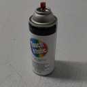 Touch N Tone Spray Paint 55283830, 10 oz, Gloss Orange