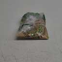 Organo Republic Arugula Sprouting & Microgreens Seeds - Non-GMO, Heirloom Sprout Seeds Kit, 1lb Resealable Bag for & Growing Microgreens in Soil, Coconut Coir, Aerogarden & Hydroponic System.