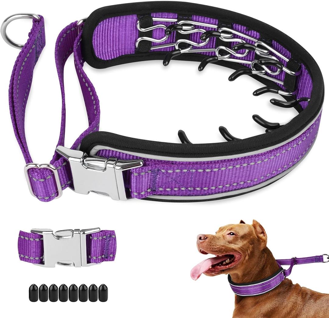 Mayerzon Prong Collar for Large Medium Dogs, Patented Reflective Pinch Collar with Metal Buckle, No Pull Adjustable Hidden Covered Dog Walking Training for Pitbull German Shepherd Doberman(Purple, L) (Large: 15''-22'')