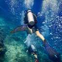 Adult Snorkel Fins - Men & Women's Long Scuba Diving Fins for Travel & Snorkeling (US Men 7-7.5 | US Lady 9-9.5, Blue Black)