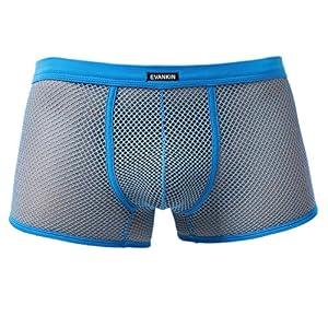 Evankin Sexy Underwear for Men Mesh Boxer Briefs Breathable Trunks (048/ SkyBlue/ 2XL)