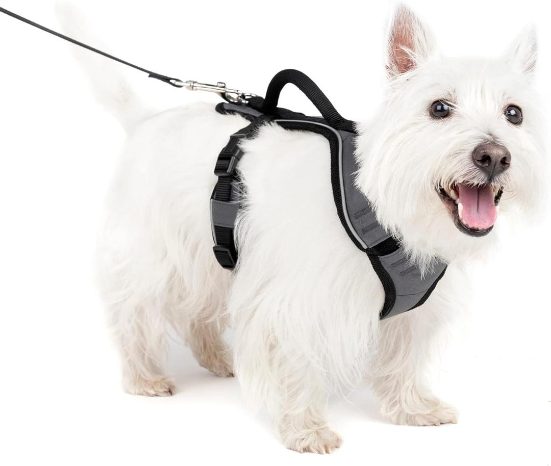 PetSafe EasySport Dog Harness - Padded, Adjustable Dog Harness with Control Handle and Reflective Piping - Great for Active Dogs - from The Makers of The Easy Walk Harness - Small, Charcoal