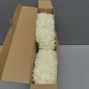 Tigeen 50 Pcs Artificial Flowers Chrysanthemum Ball Fake Flowers Lifelike Artificial Chrysanthemum Ball for DIY Wedding Bouquets Bridal Shower Table Centerpieces Home Kitchen Garden (White)