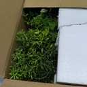 3 Pack Small Fake Plants for Shelf Decor Accents with Ceramic Pot Artificial Potted Plants for Rustic Farmhouse Decor Faux Plants Indoor Fake Potted Plants Artificial for Home Office Bookshelf Decor