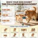 Dog Pheromones Dogs Pheromone Accidents Aggression 2 Diffusers+2 Refills Separation Anxiety Calming Calm Plug