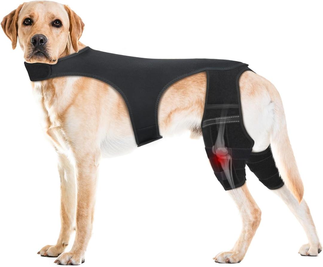 Dog Knee Brace for Hind Legs  Adjustable Dual Dog Leg Brace for Back Leg Helps with Torn ACL/CCL, Luxating Patella, Ligament Injuries, Osteoarthritis,M