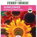 Mixed Seedlings 64 Pack, BBD 12/24