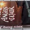 Where Angels Walk: True Stories of Heavenly Visitors