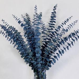 15Pcs Preserved Dyed Blue-Green Eucalyptus Stems, 1516" (Approx.) Natural Dried Eucalyptus Branches for Vase, Bouquets, DIY Floral Decor