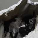 Swingers Solar Lights Outdoor,Solar Torch Lights with Flickering Flame,Waterproof Outdoor Garden Lights for Outside Patio Pathway Yard Decorations(12, Yellow)