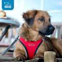 Best Pet Supplies Voyager Step-in Air Harness - All Weather Mesh, Reflective, No Pull Harness for Dogs, Cats - Secure with Hook & Loop Fastener, Buckle, Double D-Rings - Red/Black Trim, XL