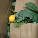 Mizii Artificial Lemon Garland 6FT Fake Fruit Lemons Garland Hanging Vines with Green Leaves Greenery Decorations for Kitchen Table Centerpieces Room Wall Party Wedding Birthday Decor (Lemon)
