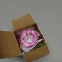 Shower Head Swivel Ball Adapter Brass Adjustable Shower Connector Shower Arm Extension Bathroom Universal Showering Component (Brushed Nickel)