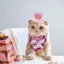 ADOGGYGO Cat Birthday Party Supplies, Birthday Girl Plaid Kitten Bandana, Pink Cat Party Hat with Numbers, Bowtie (Pink)