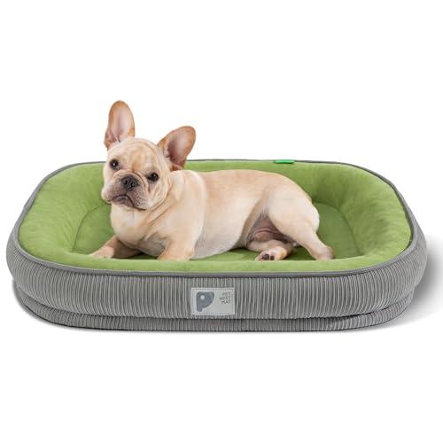 Orthopedic Small Dog Bed,Dog Sofa Bed with Egg Crate Foam with Four-Sided Bolster, Removable Cover & Non-Slip Bottom L