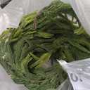 N&T NIETING 9FT Christmas Norfolk Pine Garland Real Touch Pine Artificial Garlands Faux Greenery Garland Winter Christmas Garland for Table Mantle Fireplace Indoor Outdoor Xmas Decorations (1 Pcs)