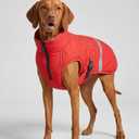 Acouto Red Dog Reflective Vest with High Visibility for Outdoor Activities and Night Walking